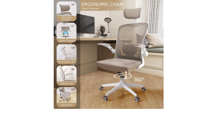 Monhey Ergonomic Office Chair Office Chair with Lumbar Support