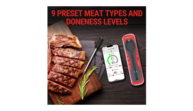 ThermoPro TWIN TempSpike – Truly Wireless Meat Thermometer – Lightning Deal  in 2023