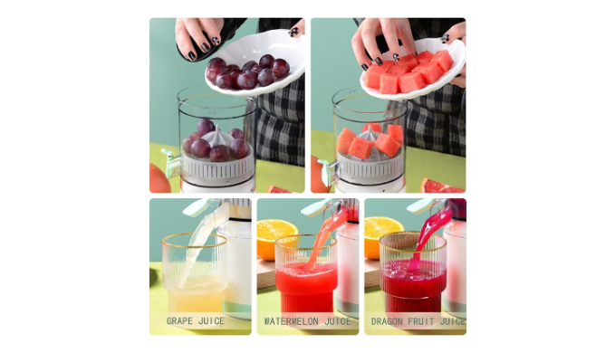 Renewgoo Cyclone Juicer Electric Citrus Press Fruit Juice Squeezer