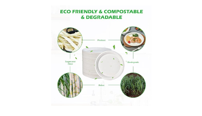 JOLLY CHEF 9 inch Compostable Paper Plates, Eco-Friendly