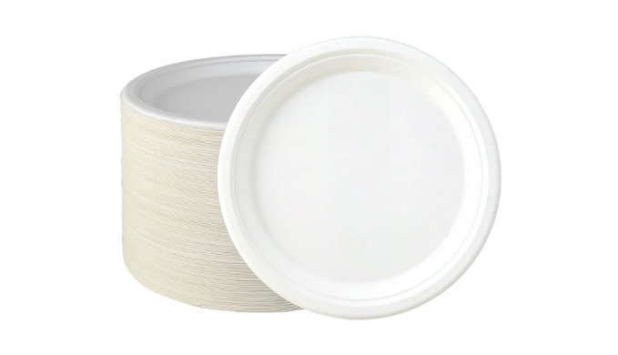 100% Compostable 9 Inch Paper Plates [150-Pack] Heavy-Duty Eco-Friendly  Disposable White Plate, Eco-Friendly Made of Sugarcane Fibers 9  Biodegradable