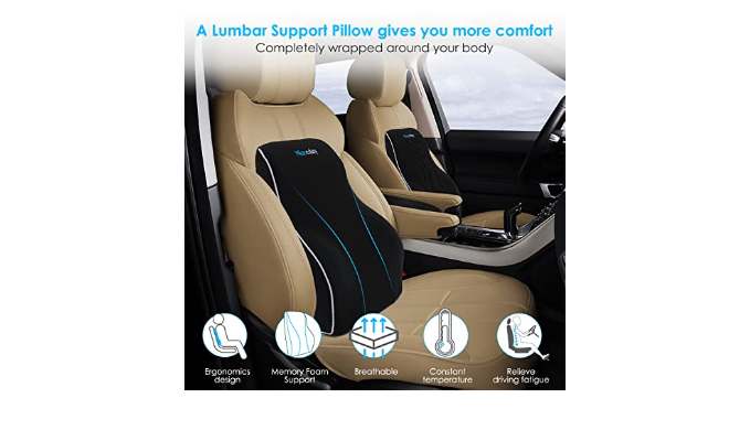 Niceeday Lumbar Support Pillow for Office Chair Car Lumbar Pillow, Memory  Foam Back Cushion with Breathable 3D Mesh Lumbar Support