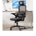 Sihoo M102C Ergonomic Office Chair with Customizable Lumbar Support