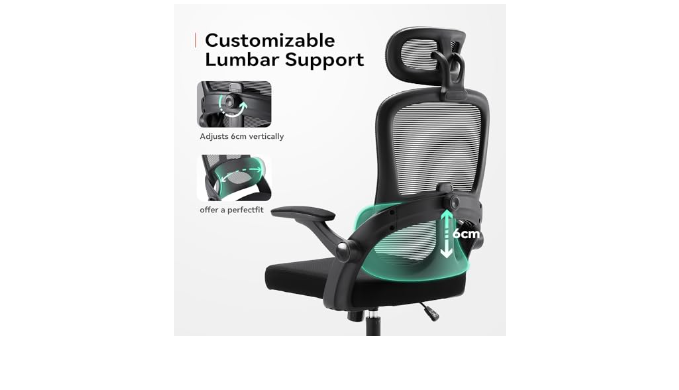 Sihoo M102C Ergonomic Office Chair with Customizable Lumbar Support