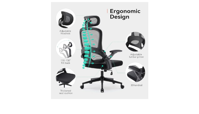 Sihoo M102C Ergonomic Office Chair with Customizable Lumbar Support