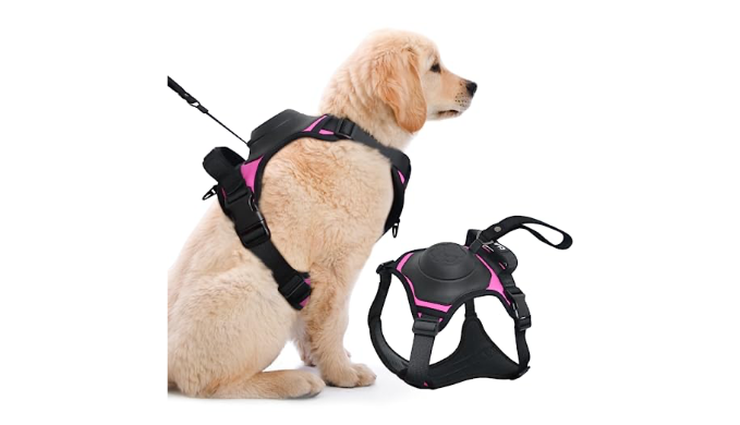 Weighted vest outlet for dogs