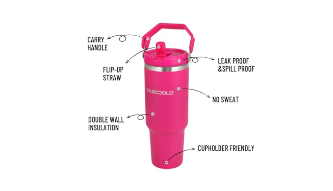 DLOCCOLD 30 oz Stainless Steel Tumbler with Flip Straw & Handle, Insulated  Double Walled Water Bottle for Home, Office, Car, Leak Proof, Reusable Cup