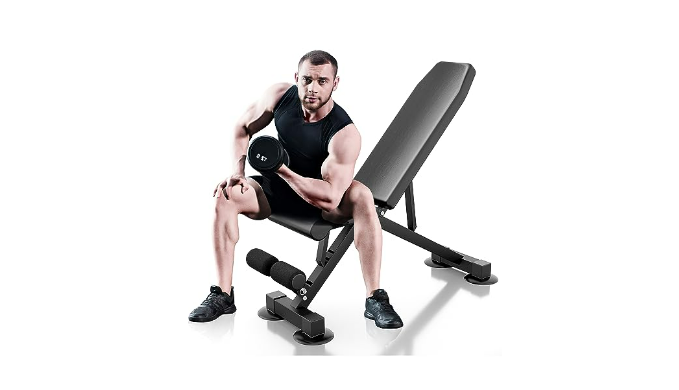 Wesfital adjustable weight discount bench